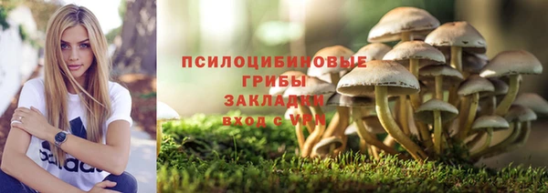 сатива Алексеевка