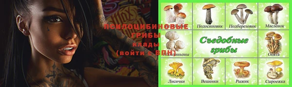 сатива Алексеевка