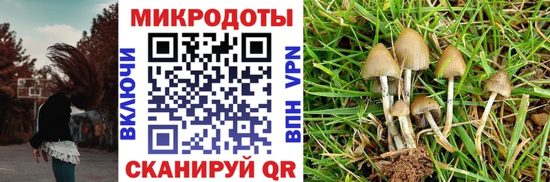Псилоцибиновые грибы прущие грибы Любим
